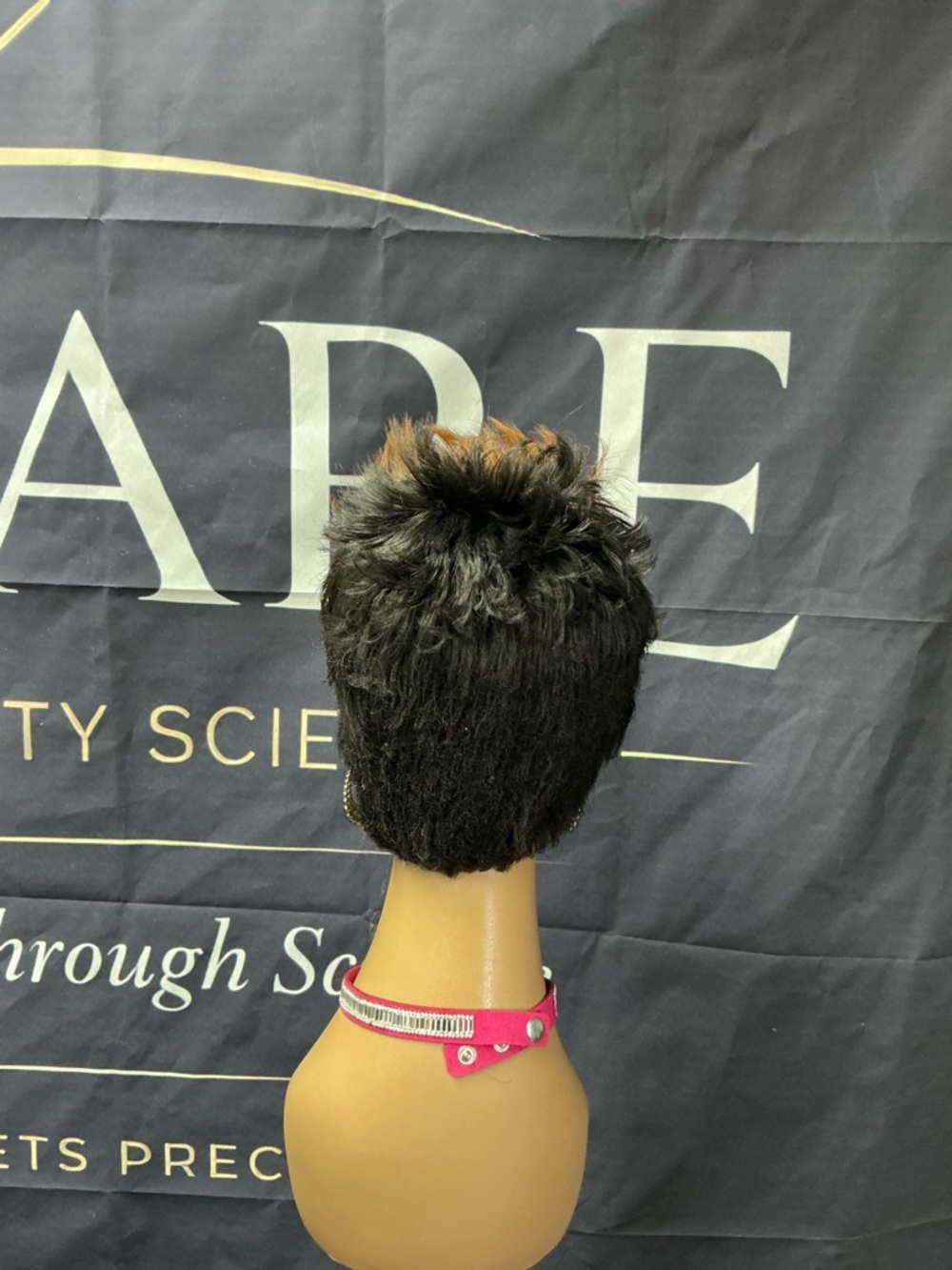 American Eagle Outfitters Short Layered Pixie Wig in Black and Honey - Picture 3 of 5